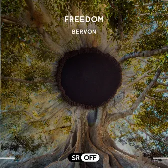 Freedom by Bervon