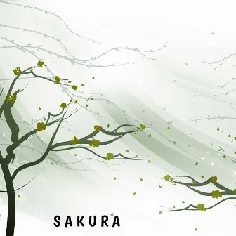 Sakura by KARIM