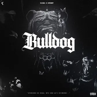 Bulldog by Xusa