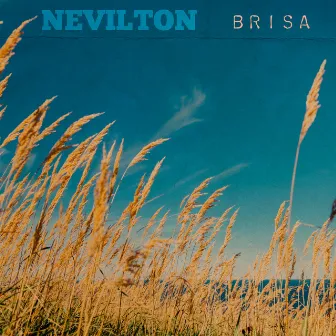 Brisa by Nevilton