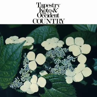 Tapestry Koto & the Occident Country by 米川敏子