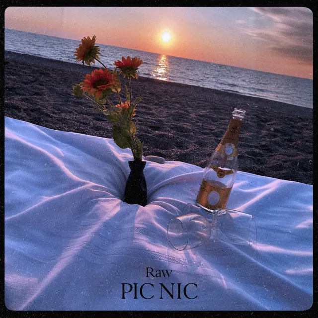 Pic Nic