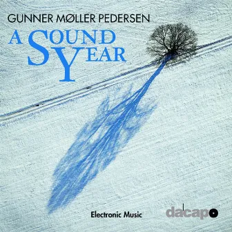 Gunner Møller Pedersen: A Sound Year by Gunner Møller Pedersen