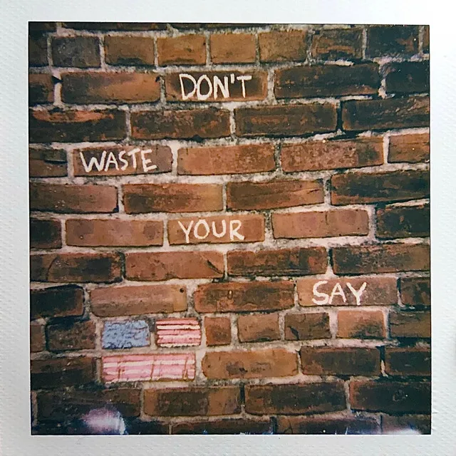 Don't Waste Your Say