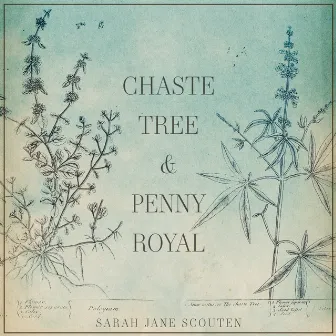 Chaste Tree and Pennyroyal by Sarah Jane Scouten