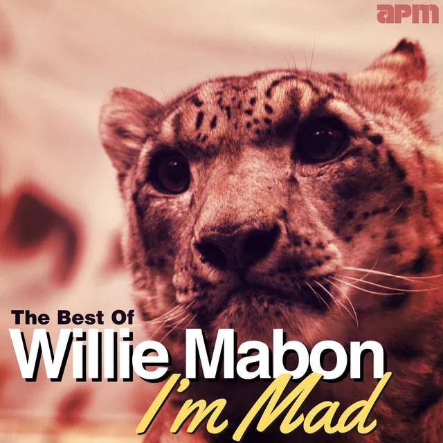 I'm Mad - The Best Of Willie Mabon