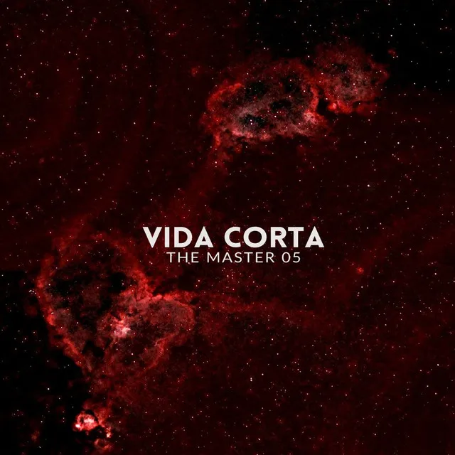 vida corta (Demo)