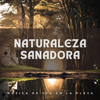 Naturaleza Sanadora: Música de Spa en la playa by Estación de spa