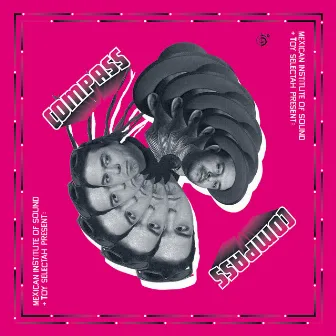 Compass by Compass: Mexican Institute Of Sound + Toy Selectah