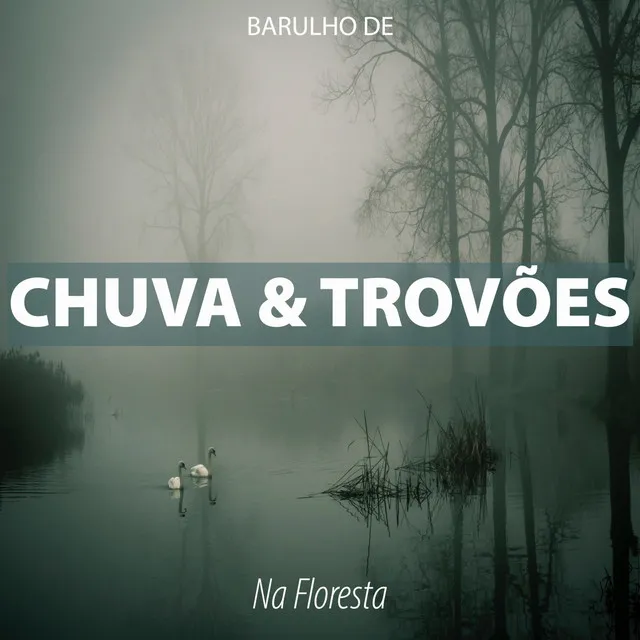 Barulho de Chuva e Trovões na Floresta