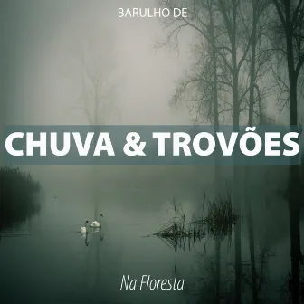 Barulho de Chuva e Trovões na Floresta by Som de Chuva e Trovões