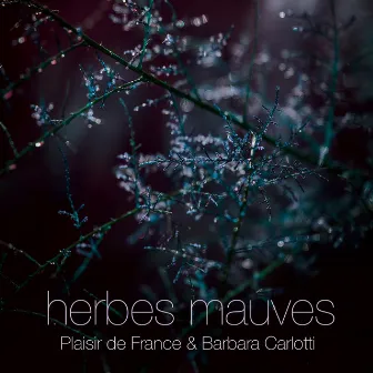 Herbes Mauves by Barbara Carlotti