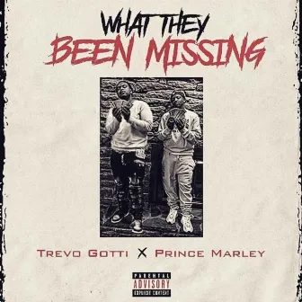 What They Been Missing by Trevo Gotti