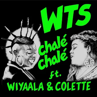 Chalé Chalé (Charles Jay Remix) by Unknown Artist