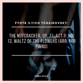 Pyotr Ilyich Tchaikovsky: the Nutcracker, Op. 71, Act II: No. 13, Waltz of the Flowers (Arr. for Piano) by Braclassic