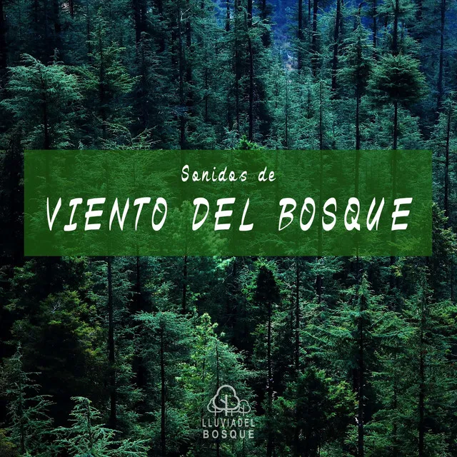 Sonidos de Viento del Bosque