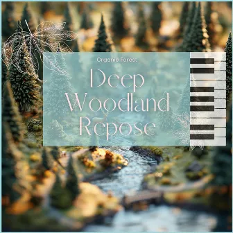 Deep Woodland Repose by Organic Forest