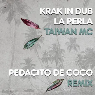 Pedacito De Coco (Remix) by Taiwan MC