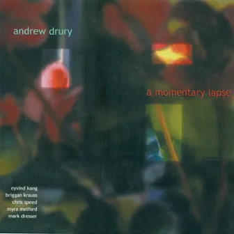 Drury, A.: A Momentary Lapse by Andrew Drury