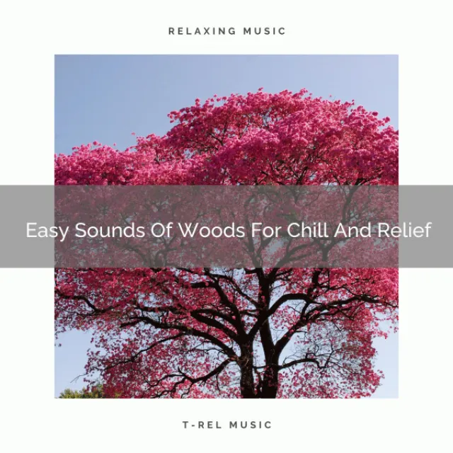 Fresh Tunes Of Trees For Feeling Better And Reconsider