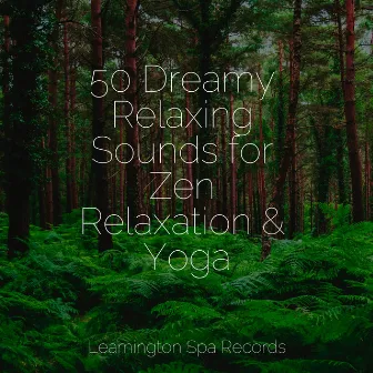 50 Dreamy Relaxing Sounds for Zen Relaxation & Yoga by Smart Baby Lullaby