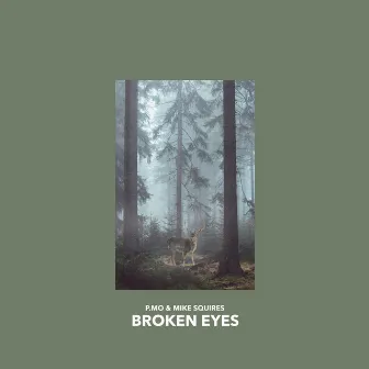 Broken Eyes by Mike Squires