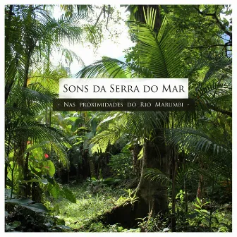 Sons da Serra do Mar by Ágatha Pradnik