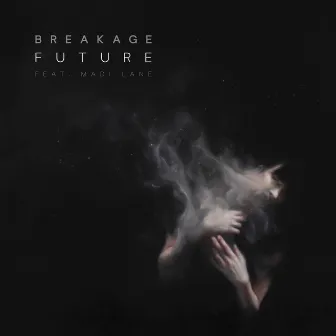 Future by Breakage