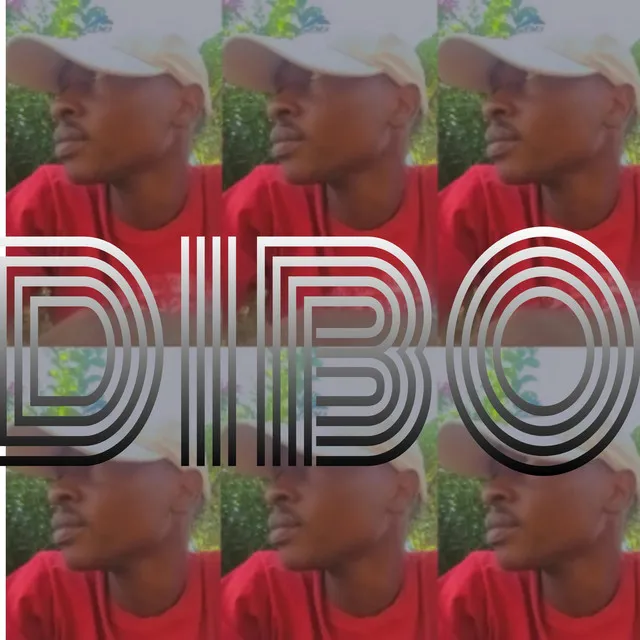 DIBO