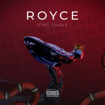 Royce by King Snake