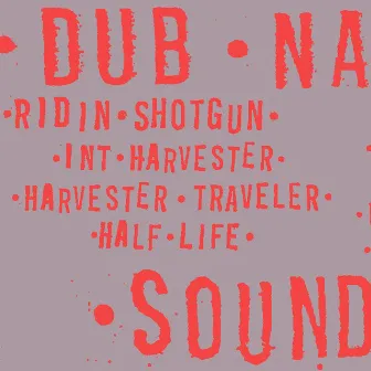 Ridin' Shotgun by Dub Narcotic Sound System