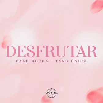 Desfrutar by MC Saah PL