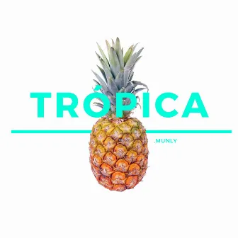 TROPICA by MUNLY