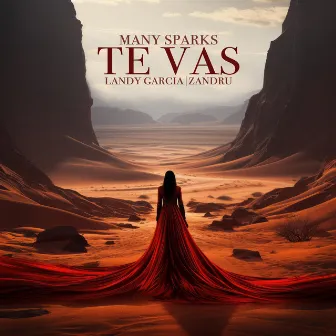 Te Vas by Many Sparks