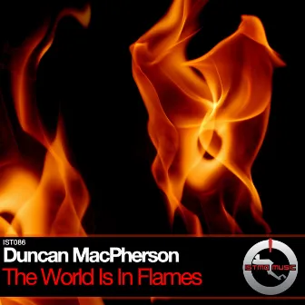 The World Is In Flames by Duncan MacPherson