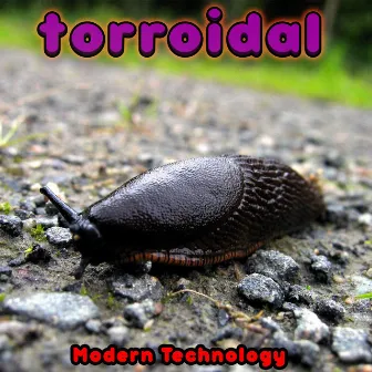 Modern Technology by Torroidal