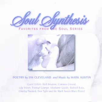 Soul Synthesis: Favorites From The Soul Series by Mark Austin