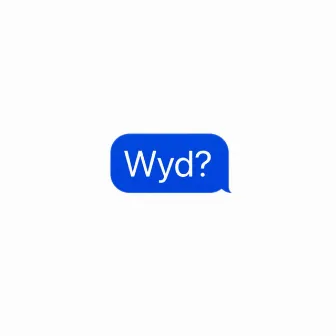 Wyd? by Lil Somethin'