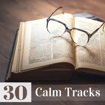 30 Calm Tracks - Natural Zen Songs to Improve Concentration & Logical Thinking by Calm Nerves