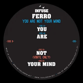 You Are Not Your Mind by Ferro