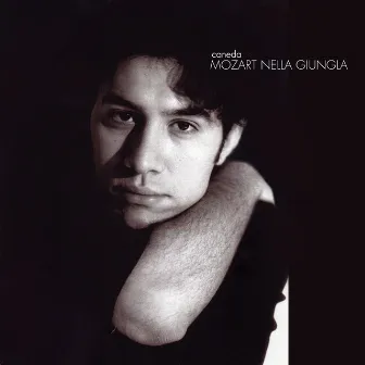 Mozart Nella Giungla by Caneda