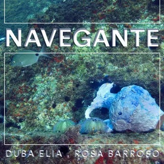 Navegante by Duba Elia