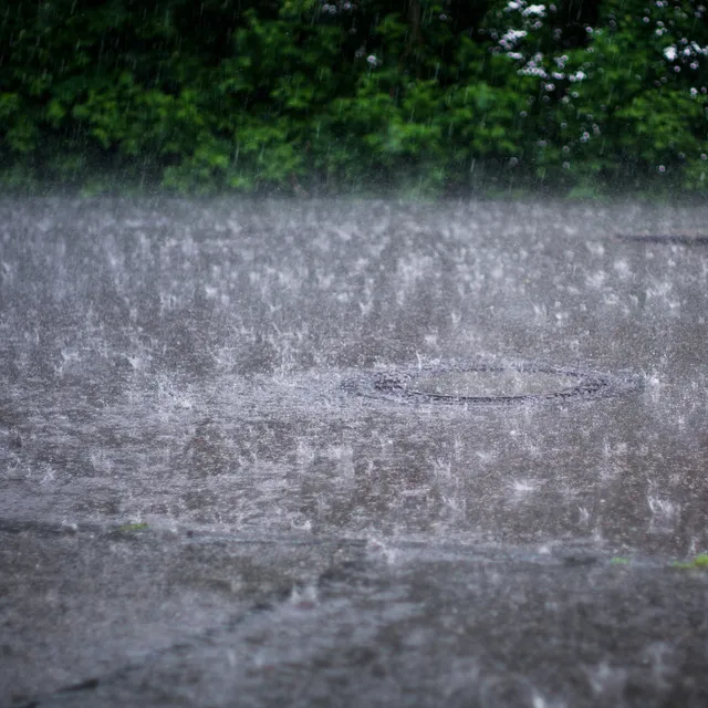 Intense Hail and Tropical Rain 27