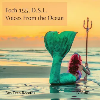 Voices From the Ocean by D.S.L.