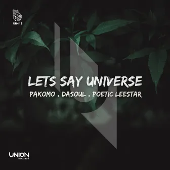 Lets Say Universe by Poetic Leestar