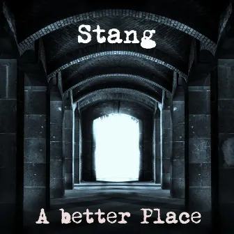 A Better Place by Stang