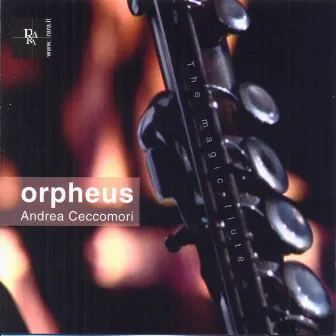 Orpheus by Andrea Ceccomori