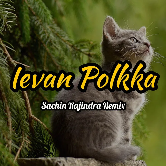 Ievan Polkka (Sachin Rajindra Remix)