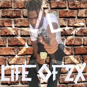 Life Of 2x by Dooley2x