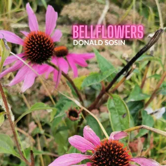 Bellflowers by Donald Sosin